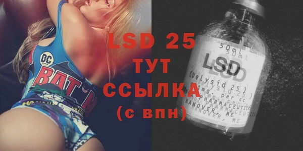 стаф Алексин