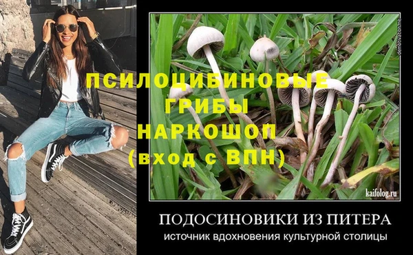 твердый Алзамай