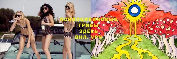 стаф Алексин