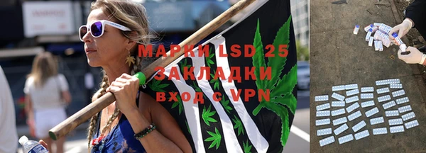 стаф Алексин