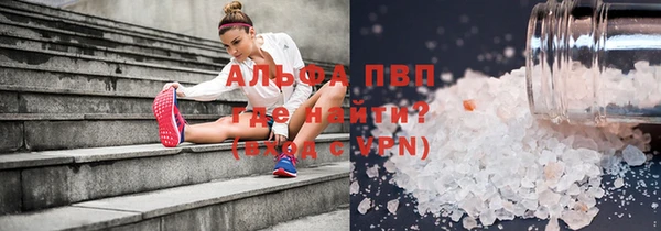 стаф Алексин