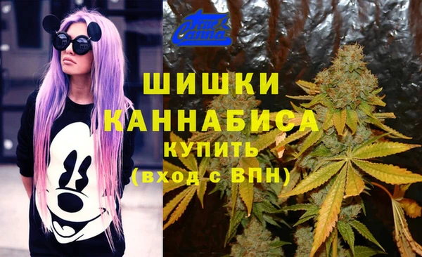 твердый Алзамай